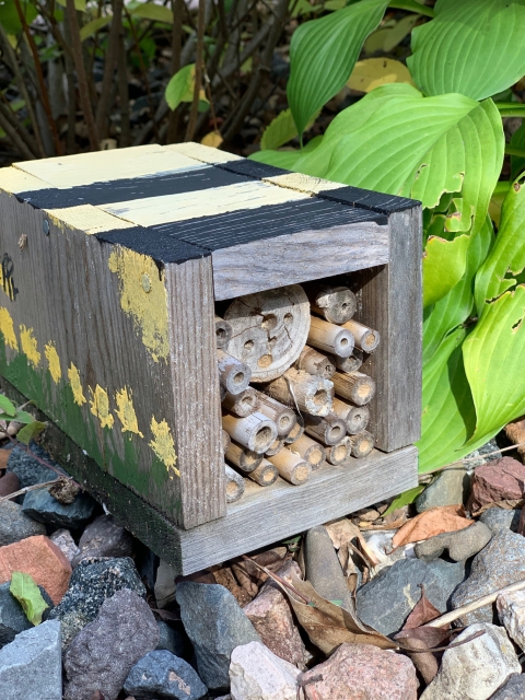 A small wooden box rests on rocks in a garden. The box has many hollowed out sticks, bamboo shoots, and openings for bees to climb into for rest.