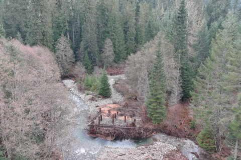 An aerial view of a restoration site, showing a river with water winding around large wooden structures amid a forest of tall trees.