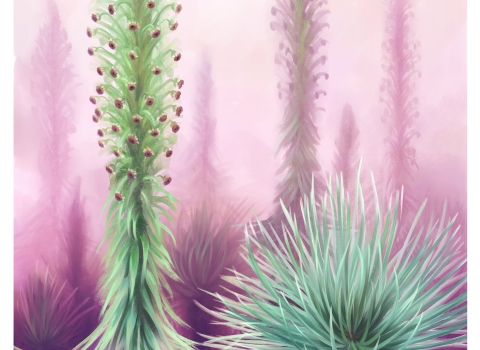 a painting of a spiky green plant reaches toward the sky and set against a pink background